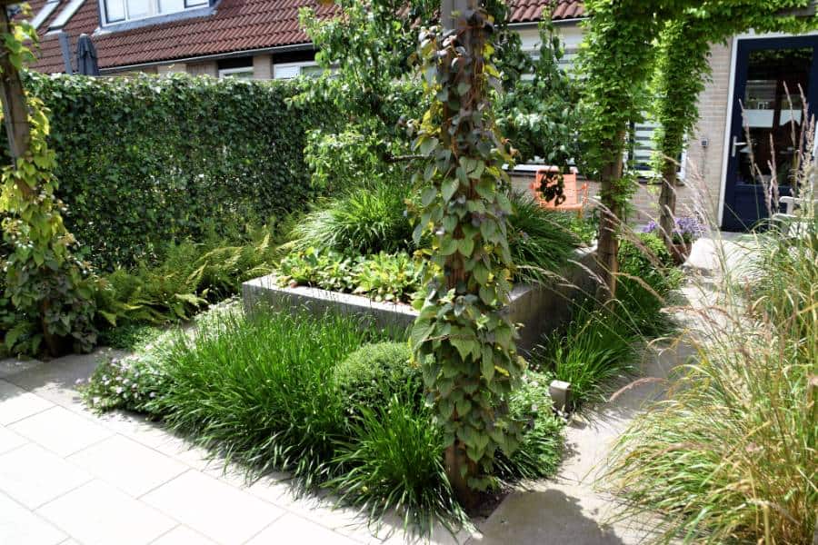 achtertuin met moderne uitstraling dutch quality gardens