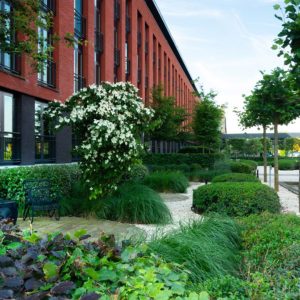 Bedrijfstuinen Dutch Quality Gardens