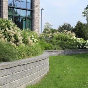 Bedrijfstuinen Dutch Quality Gardens