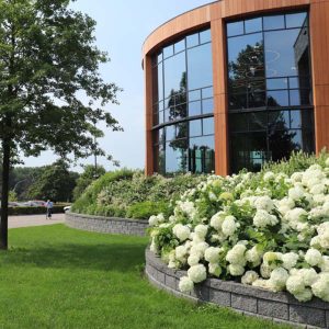 Bedrijfstuinen Dutch Quality Gardens