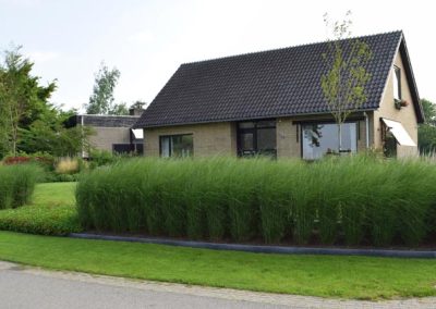 bloemrijke voortuin dutch quality gardens 3