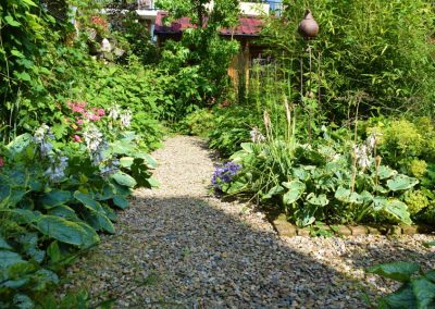 groene natuurlijke tuin met maar weinig bestrating 2
