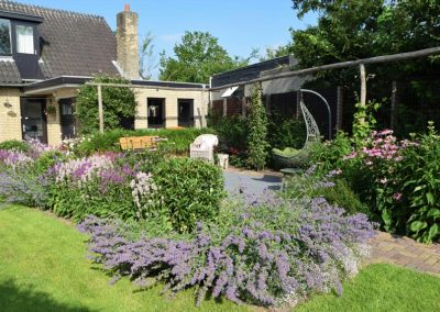 kleurrijke tuin buitengebied dutch quality gardens 9