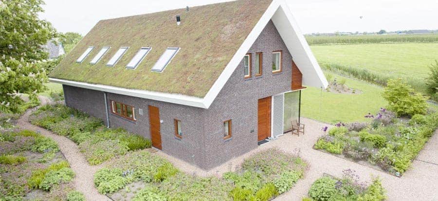 Landelijke tuin met sedumdak