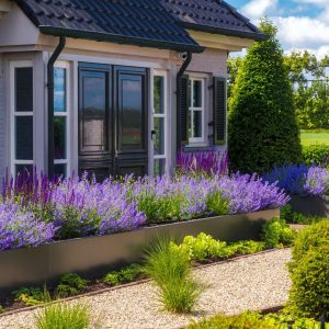 Tuinaanleg Dutch Quality Gardens