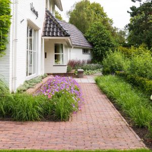 Tuinadvies Dutch Quality Gardens