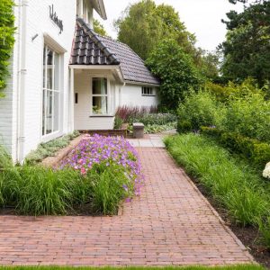 Tuinrenovatie Dutch Quality Gardens