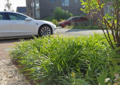 Voortuin met oprit en beplanting - Dutch Quality Gardens
