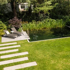 Zwemvijver Dutch Quality Gardens